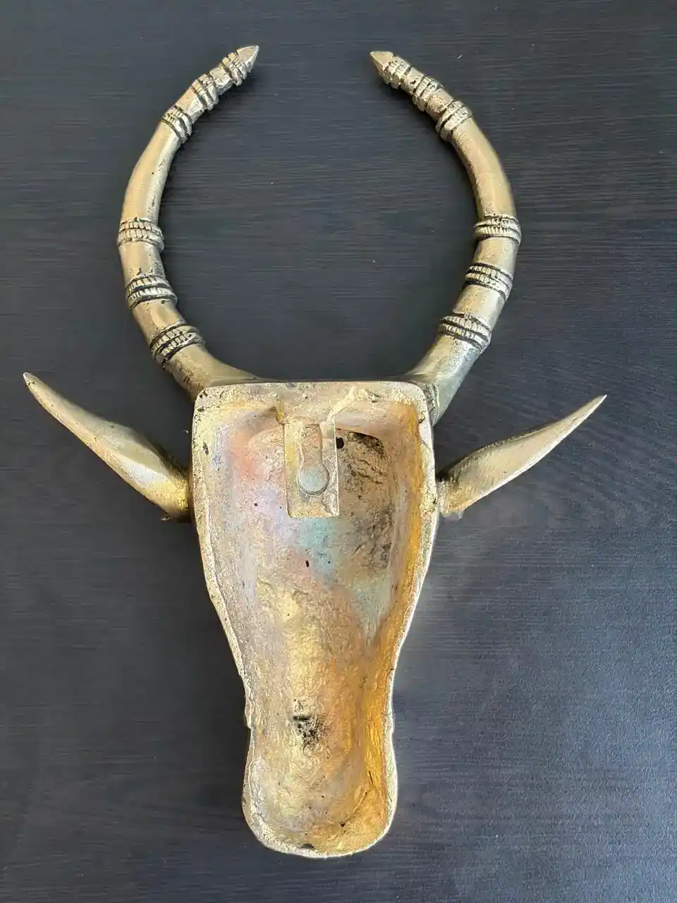Brass cow head wall decor 9" - Image 3