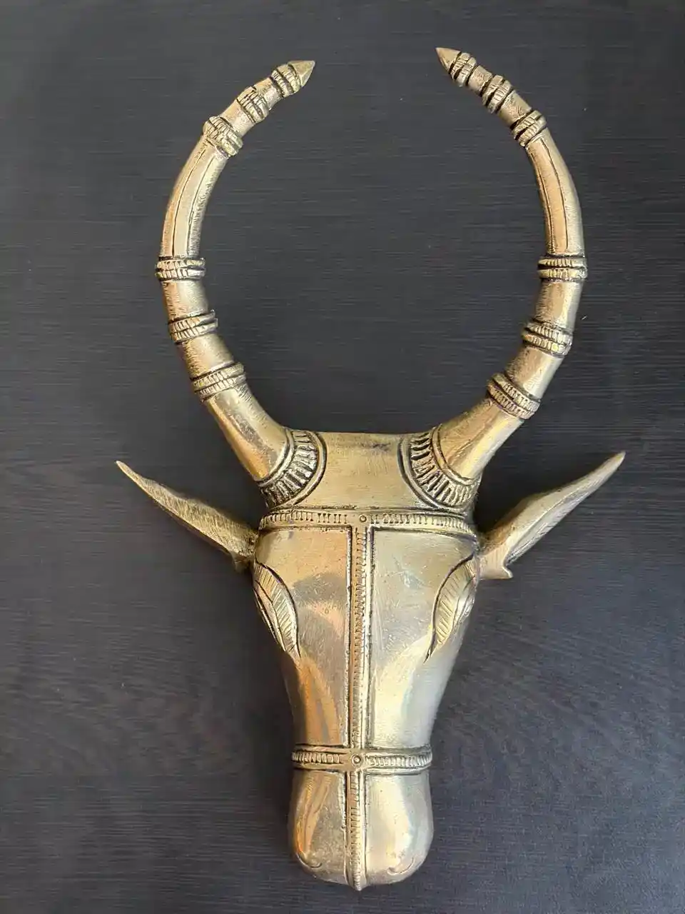 Brass cow head wall decor 9"