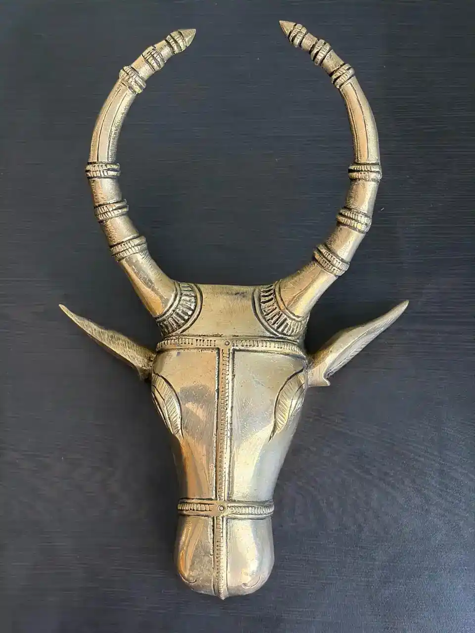 Brass cow head wall decor 9" - Image 5